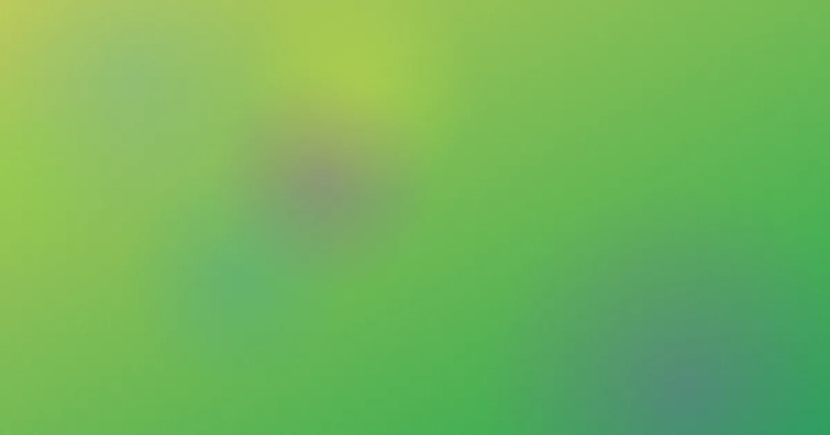 大屁股对比：一场试穿的复盘