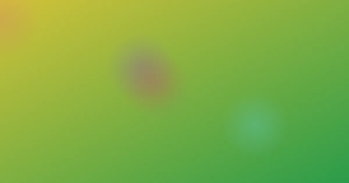 纸房子避坑：别只盯漏洞
